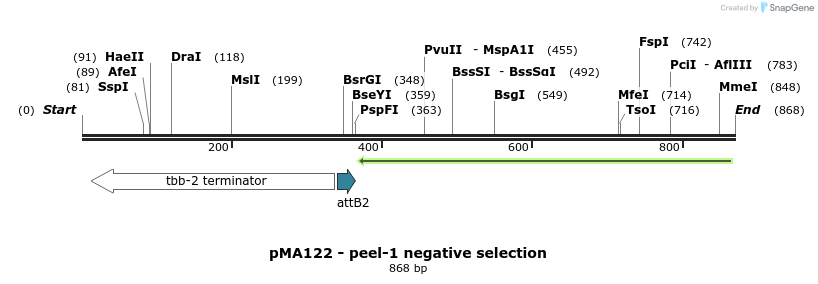 81806_map