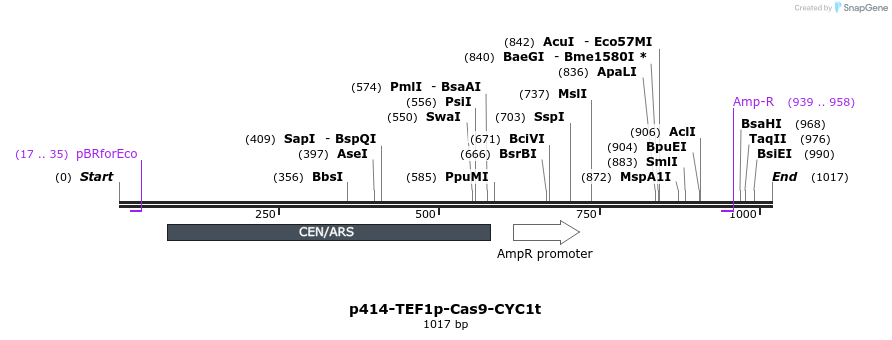 81808_map