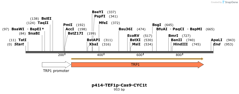 81811_map