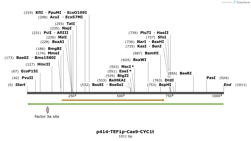 81812_map