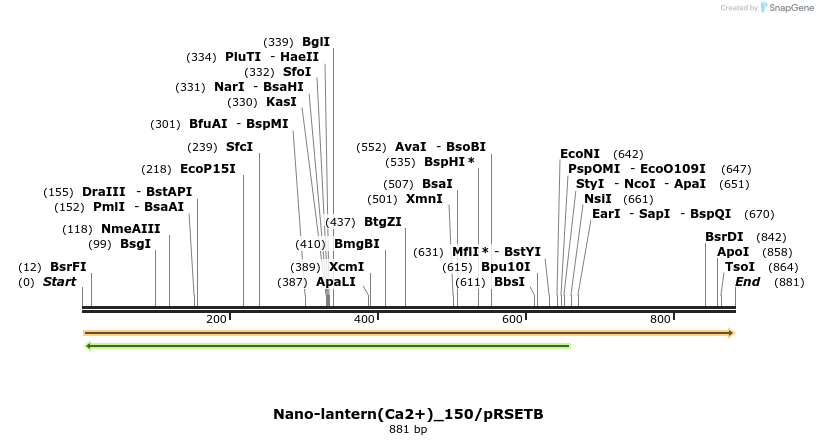 81813_map