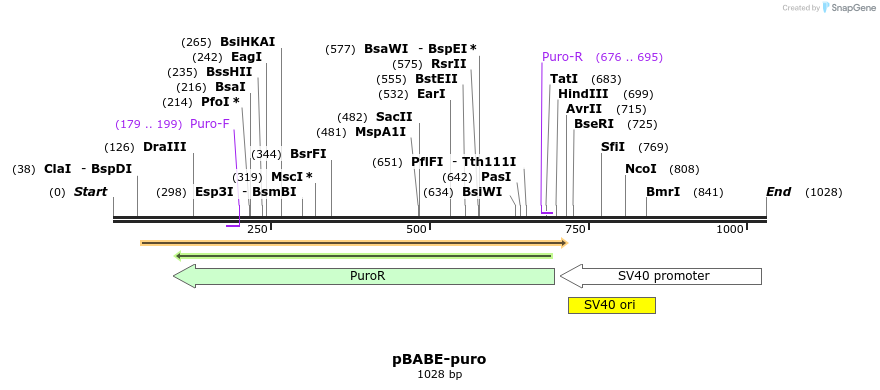 81814_map