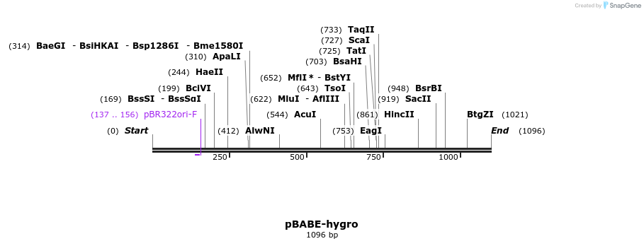 81825_map