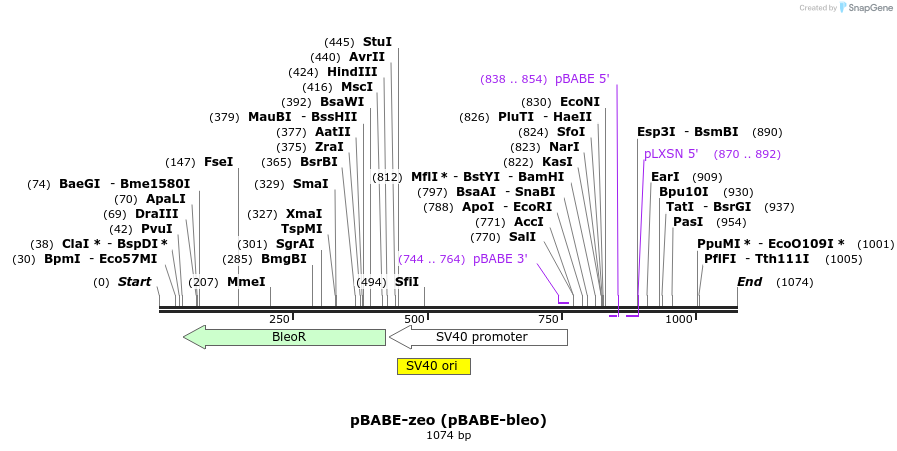 81826_map