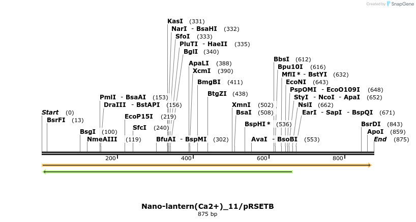 81827_map