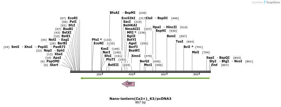 81831_map