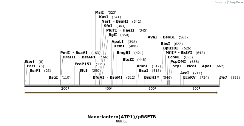 81834_map