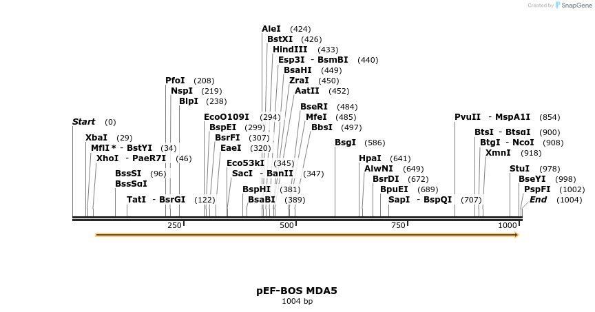 81838_map
