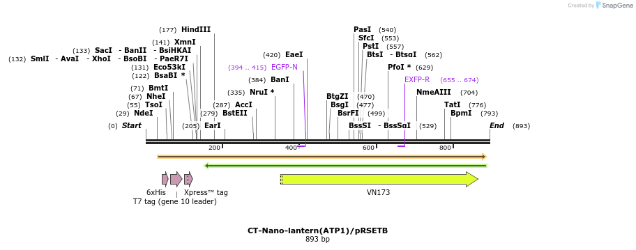 81848_map