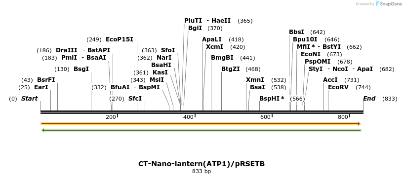 81849_map