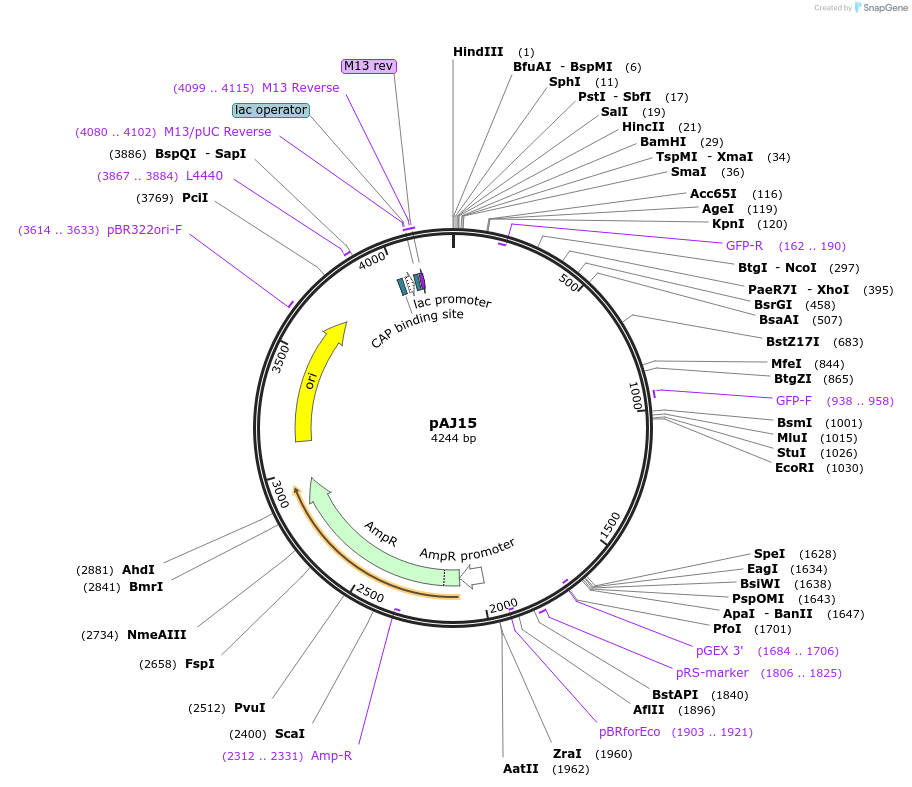 8186_map