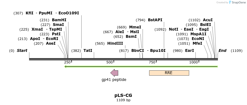 81861_map