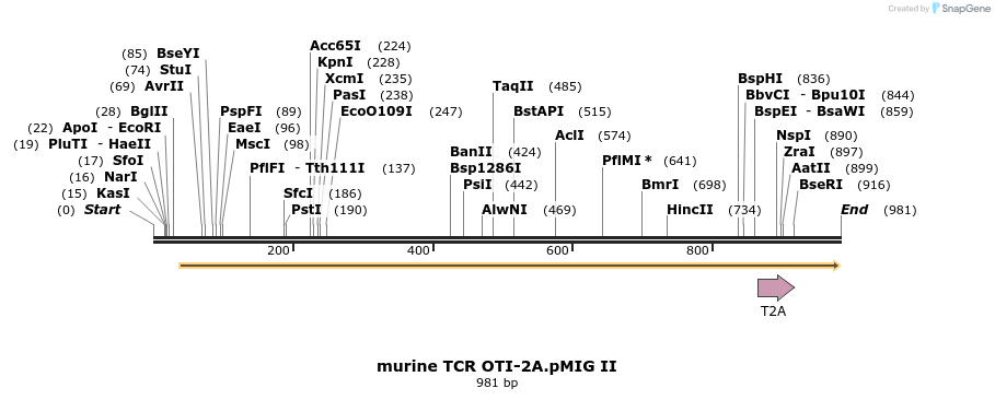 81871_map