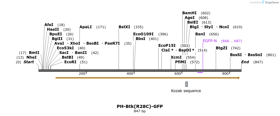 81877_map