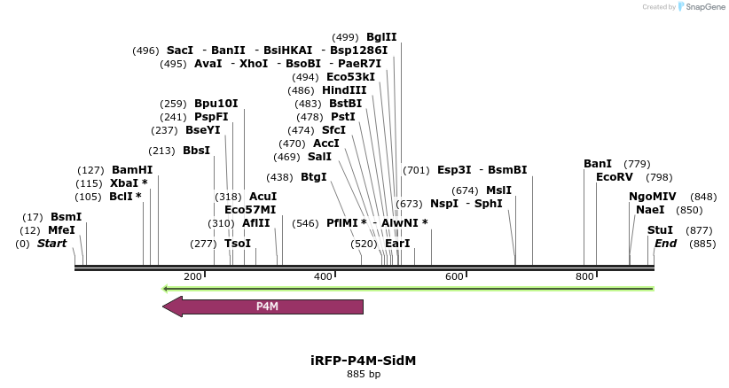 81890_map