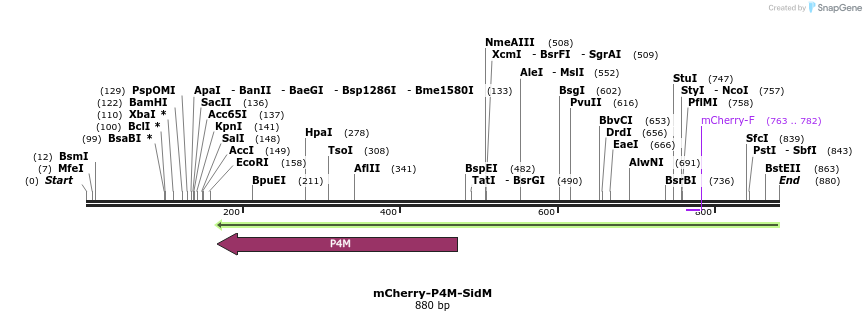 81891_map