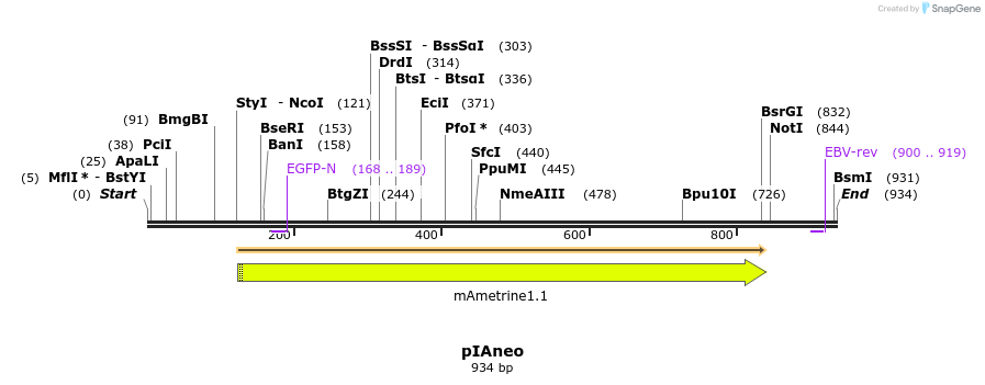 81892_map