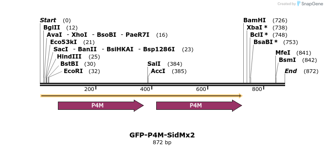 81893_map