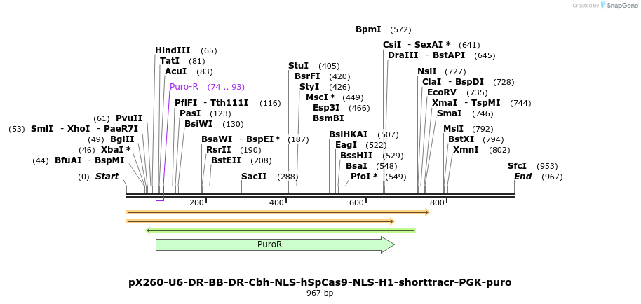 81901_map