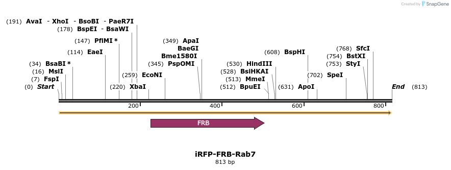 81906_map