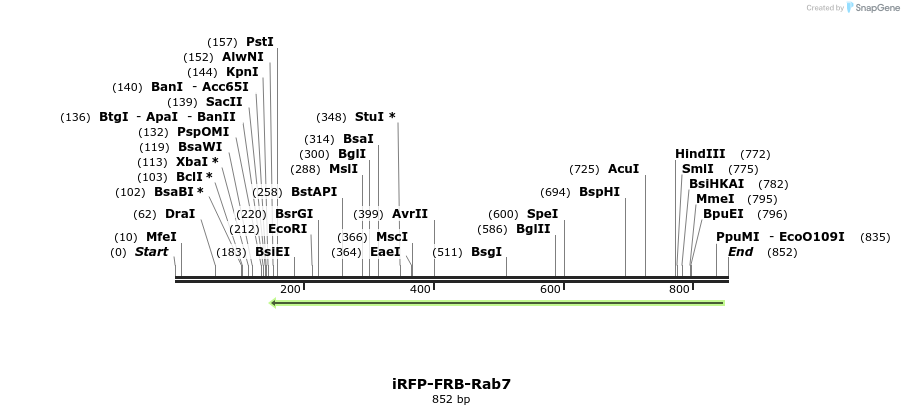 81908_map
