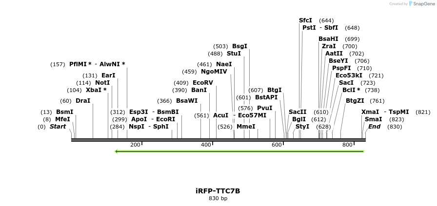 81911_map