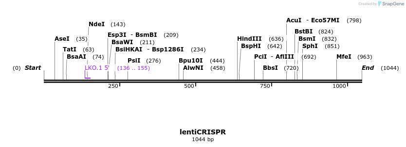 81915_map