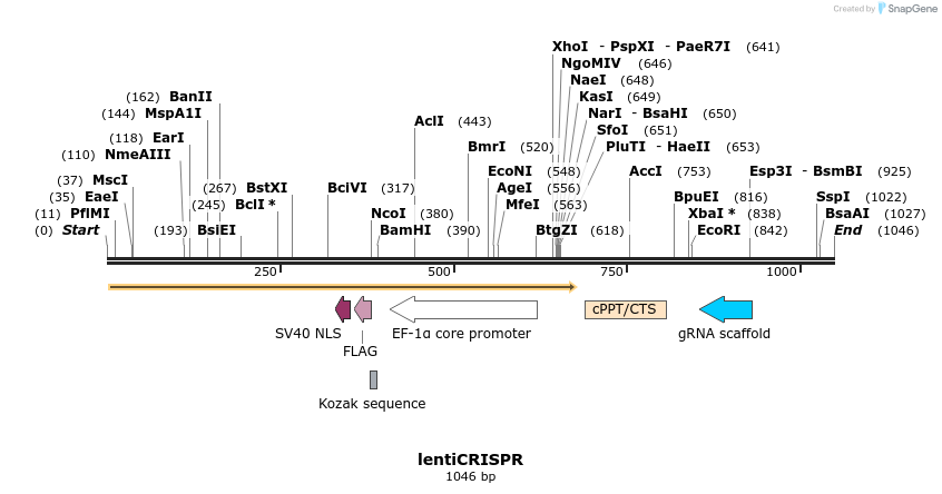 81916_map