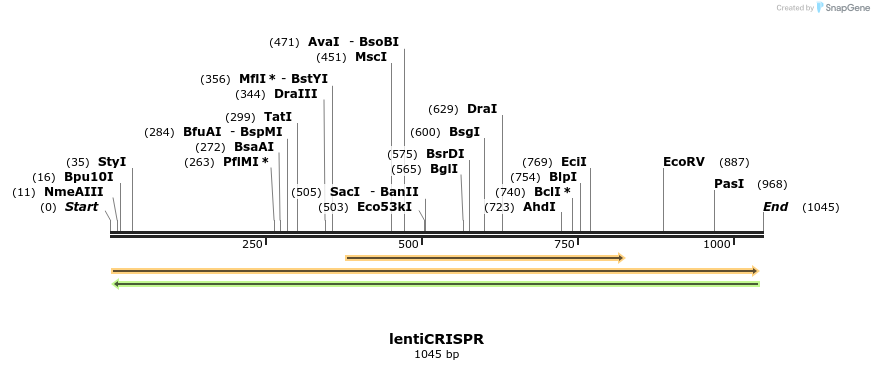 81917_map
