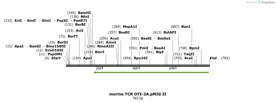 81945_map