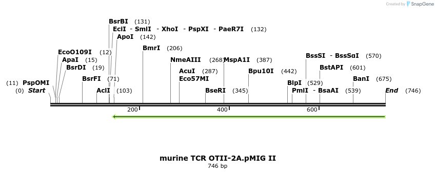 81947_map