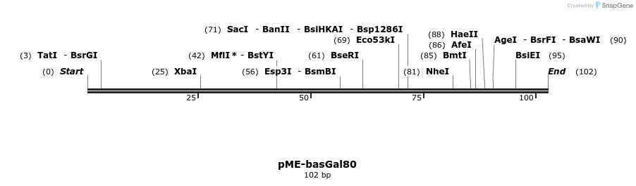 81964_map