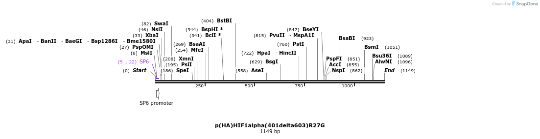81970_map