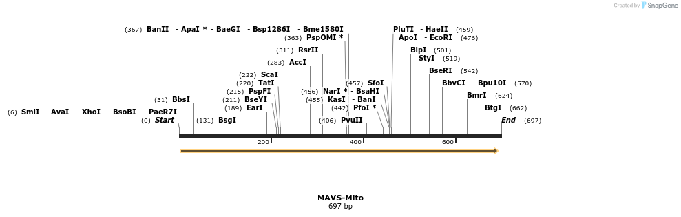81979_map