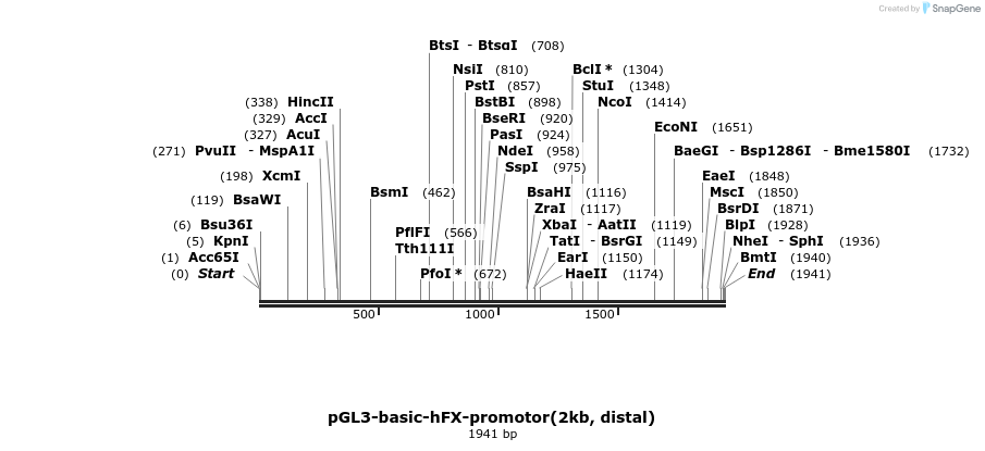 8198_map