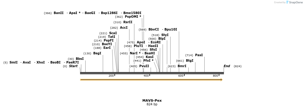 81980_map