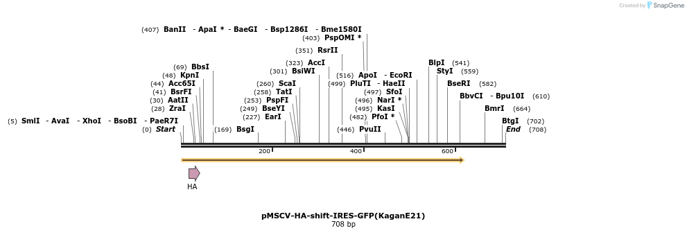 81981_map