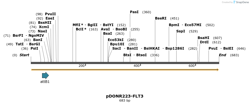 81984_map
