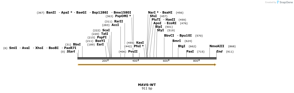 81985_map