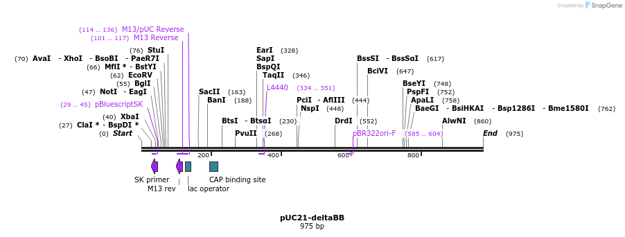 81991_map