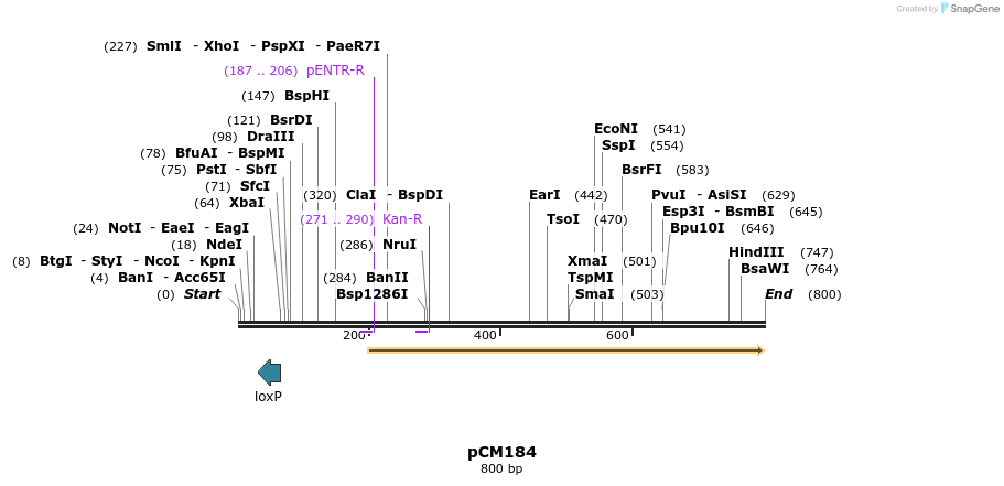 81992_map