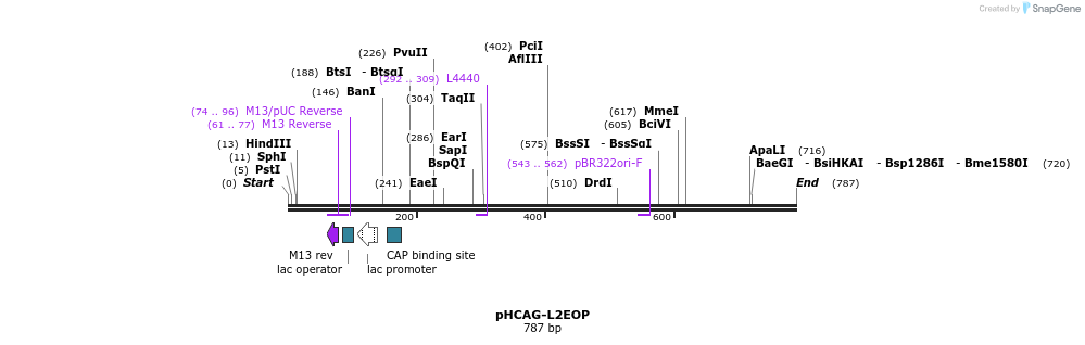 81993_map