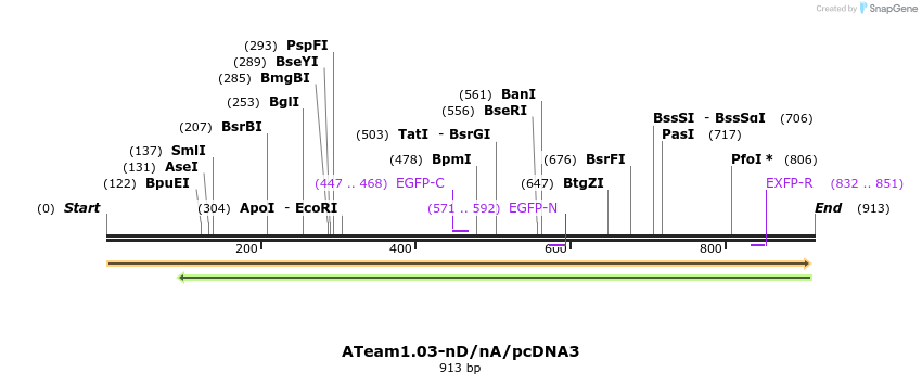 81995_map