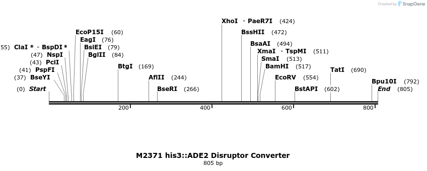 81999_map