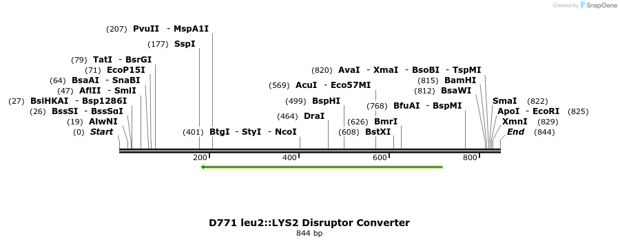 82001_map