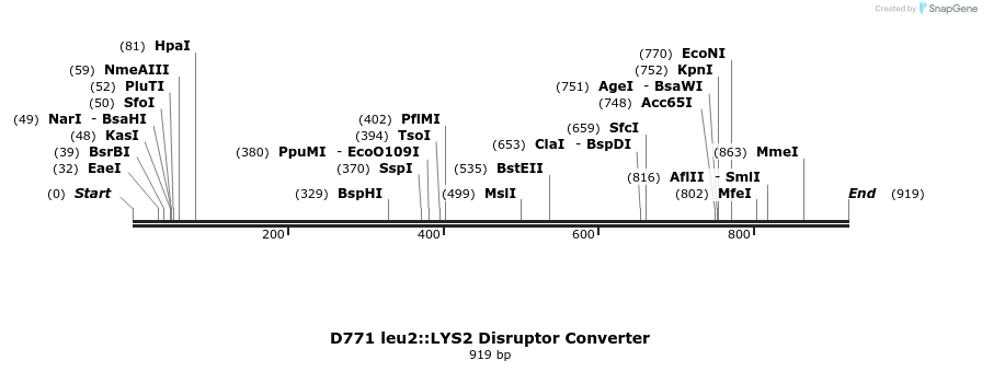 82004_map