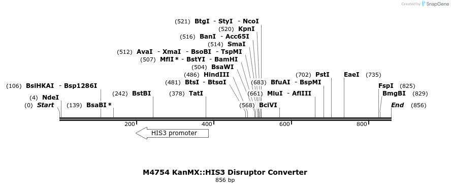 82005_map