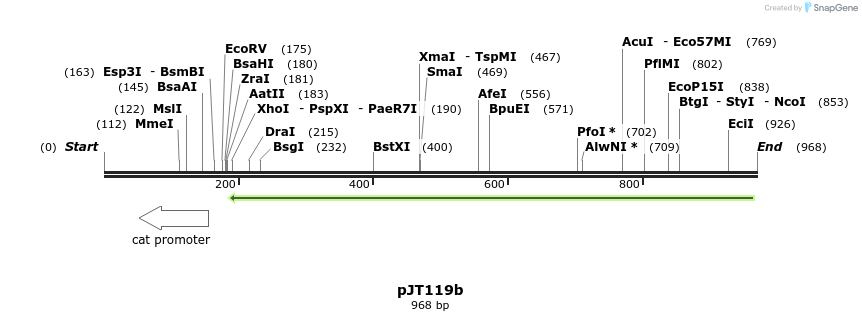 82021_map