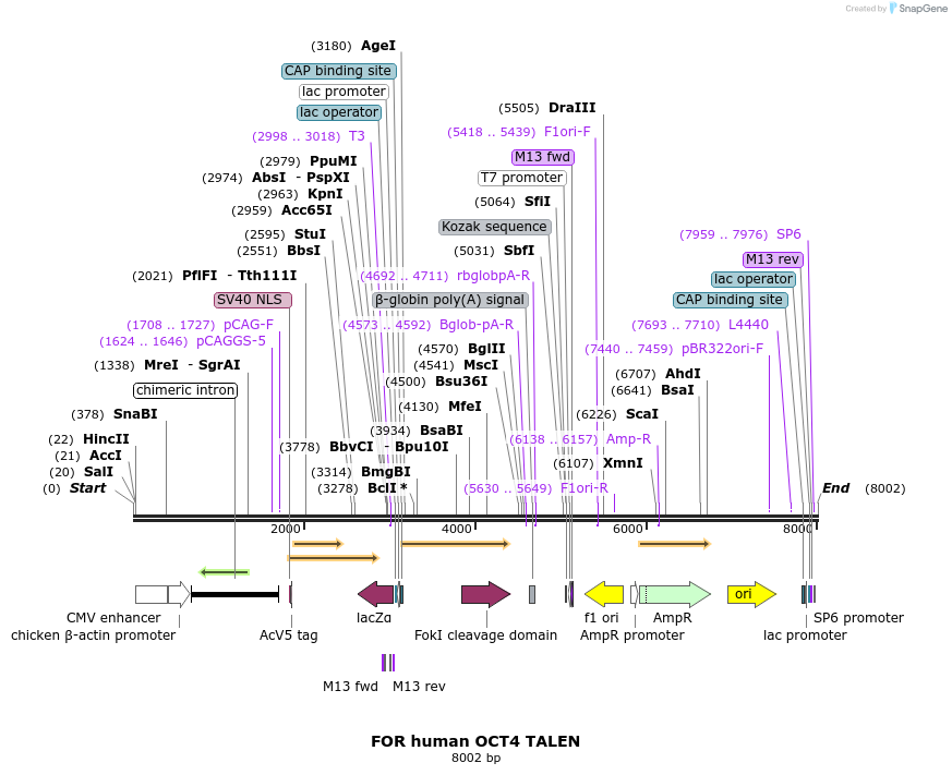 82028_map