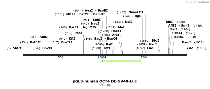 82031_map